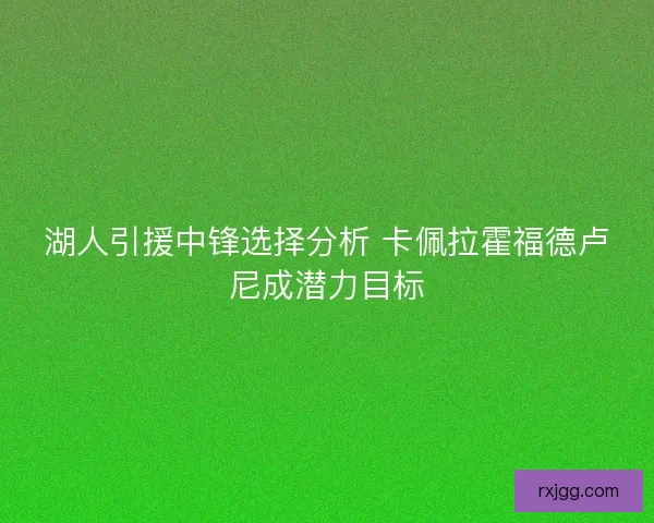 湖人引援中锋选择分析 卡佩拉霍福德卢尼成潜力目标
